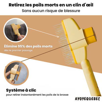 SmartBrush™ – Brosse anti-poils morts