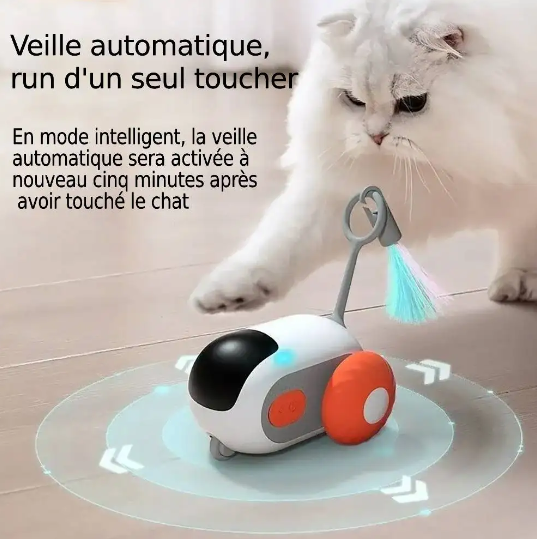 Voiture de Jeu Interactive "MiaouMove"