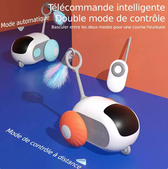 Voiture de Jeu Interactive "MiaouMove"