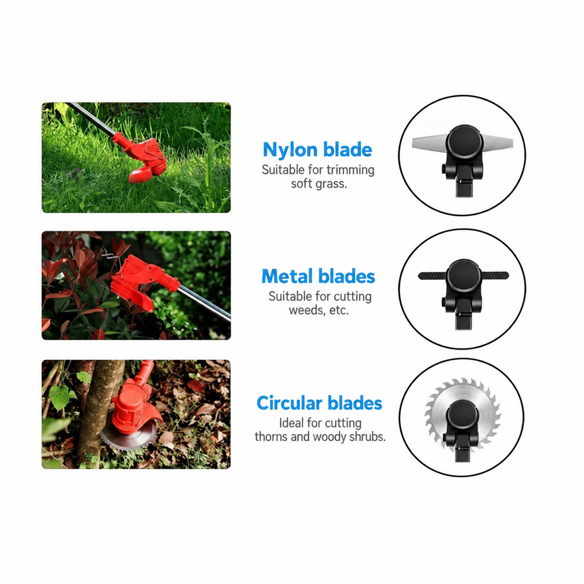 Product details in English