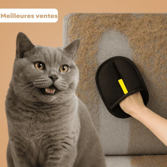 Gant statique attrape-poils : attire les poils comme un aimant